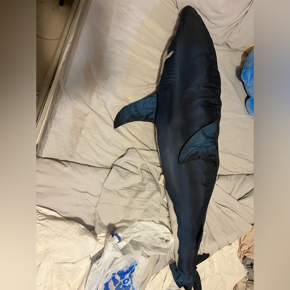 Giant shark